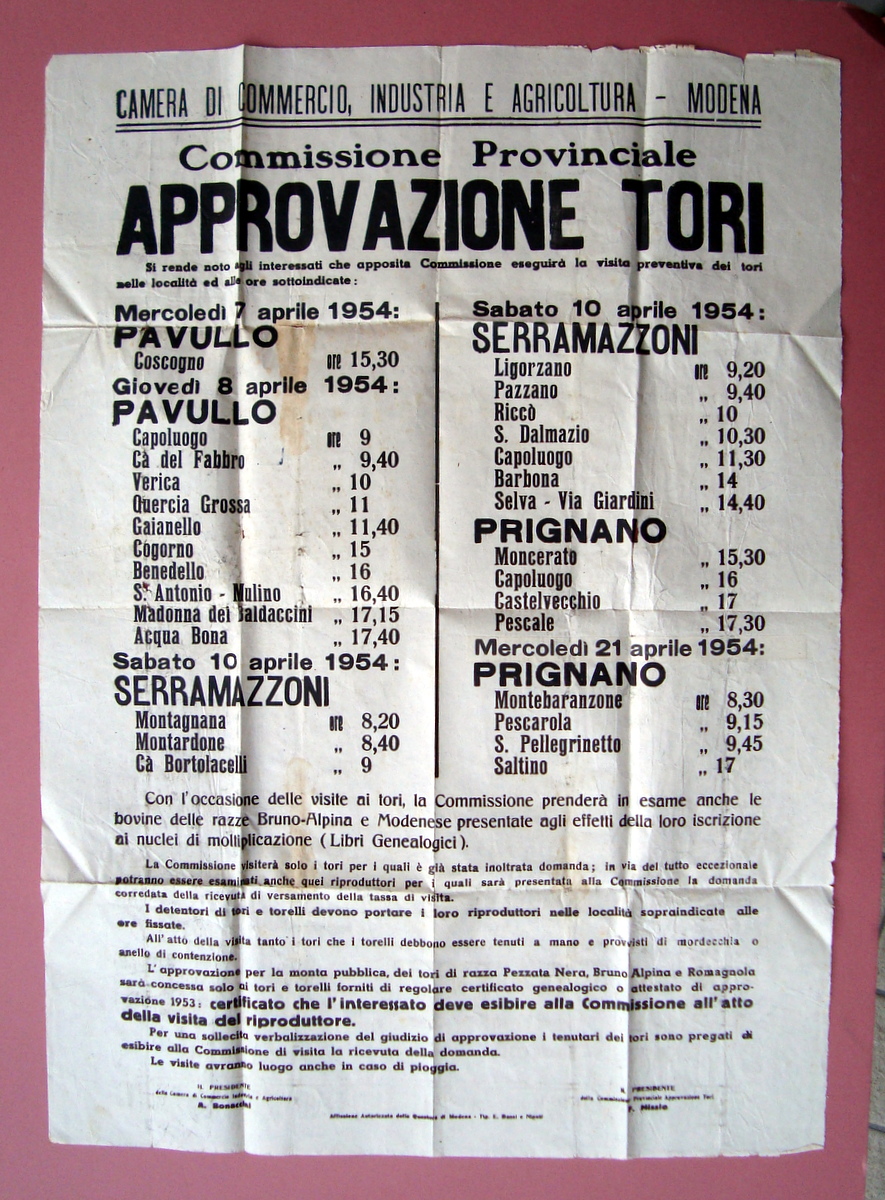 Pavullo Serramazzoni Manifesto Approvazione Tori CCIA Modena 1954