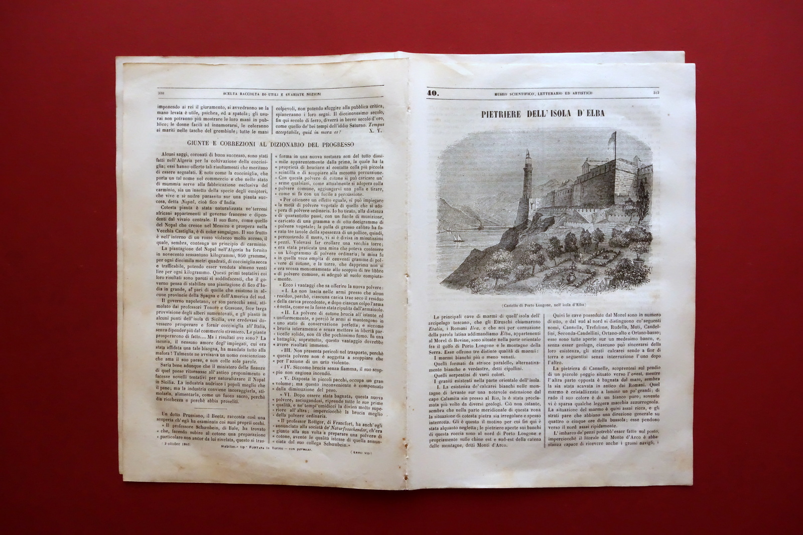 Pietriere Isola d'Elba Castello di Porto Longone Museo Scientifico Torino …