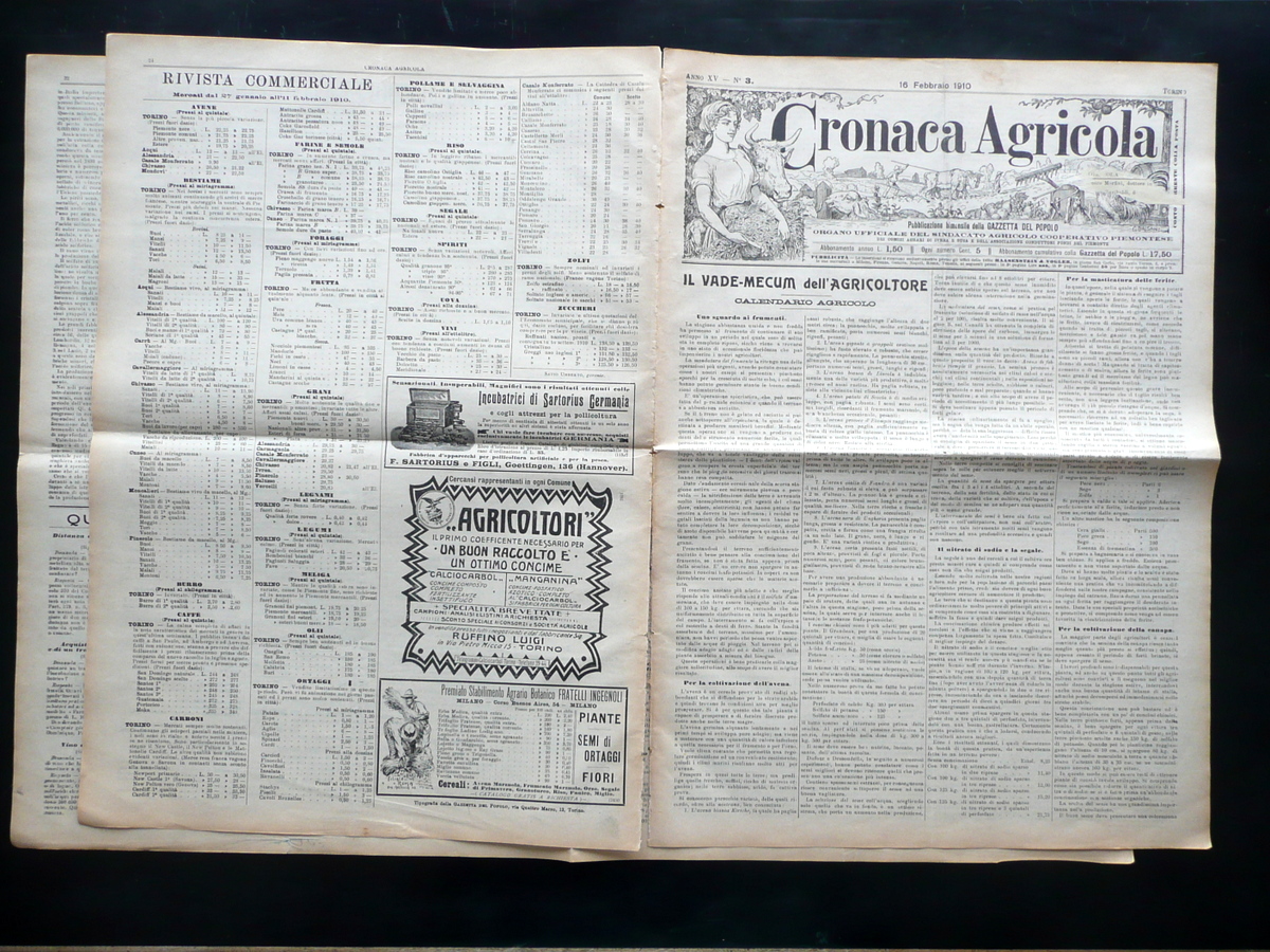 Principali Stabilimenti Piemontesi Concimi Chimici Cronaca Agricola 1/2/1910