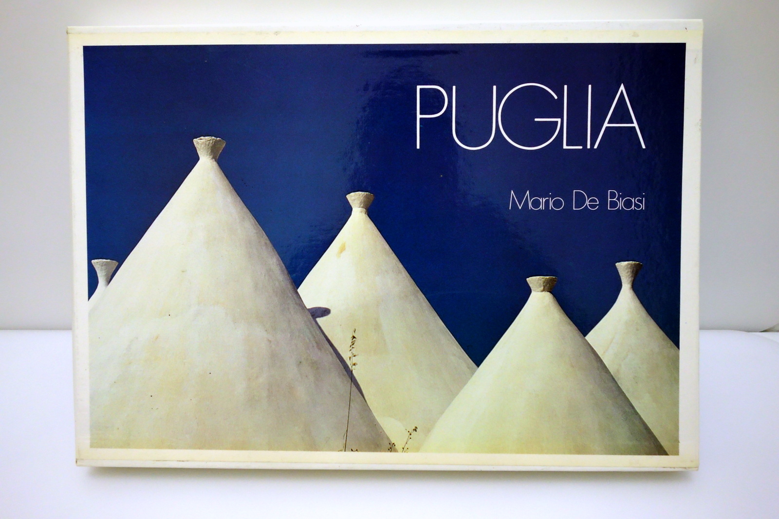 PUGLIA DE BIASI GEROSA MAGNUS 1985