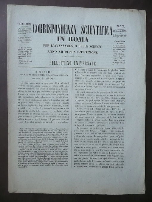 Ricerche Veleno Salamandra Maculata 1859 Corrispondenza Scientifica Albini