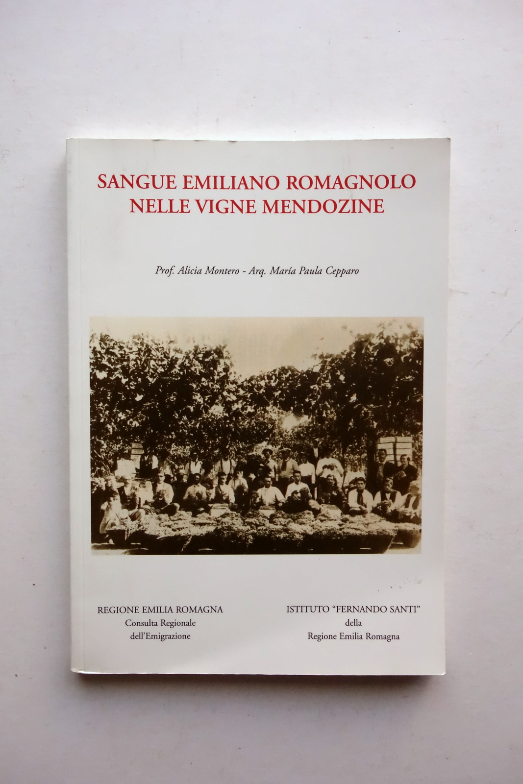 Sangue Emiliano Romagnolo nelle Vigne Mendozine Montero Cepparo 1997 Emigrazione