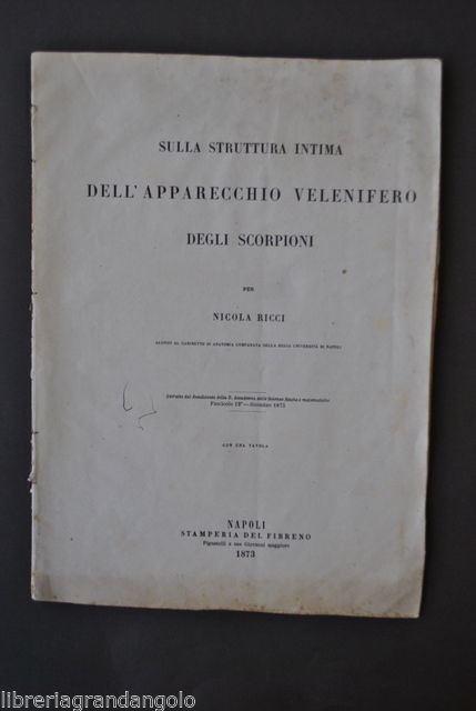 Scienza Naturali Insetti Scorpioni Veleno Apparecchio Velenifero Ricci 1873