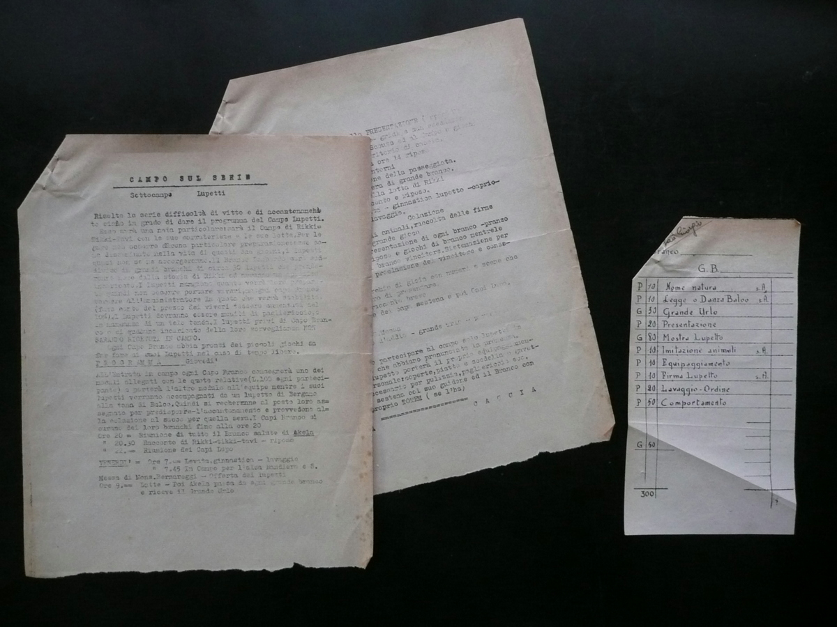 Scout Ciclostilato Campo Sul Serio Sottocampo Lupetti Programma Anni '50