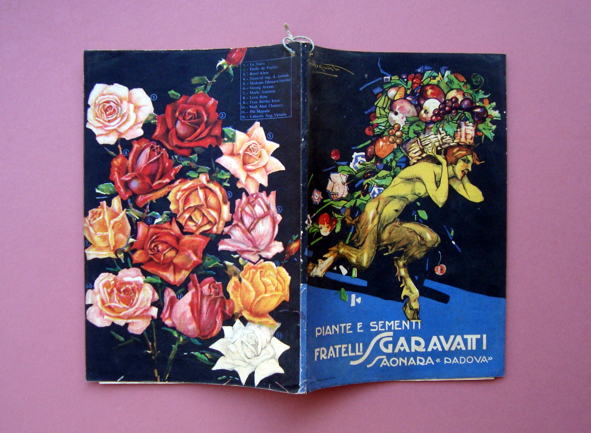 Sgaravatti Piante Catalogo Generali n 150 Ottobre 1925 Saonara Padova