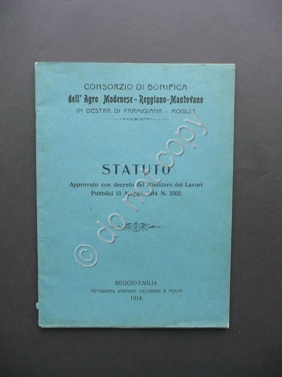 Statuto Consorzio di Bonifica Agro Modena Reggio Emilia Mantova Moglia …