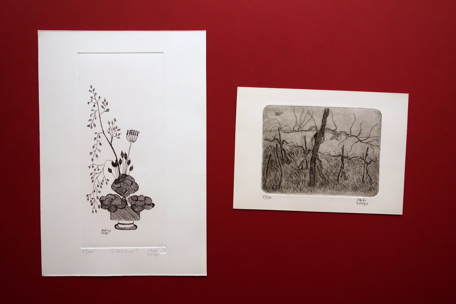 Stefi Longo Due Incisioni Originali Acqueforti Ikebana Senza Titolo Anni …