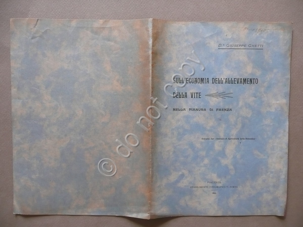 Sull'Economia dell'Allevamento della Vite Pianura Faenza Ghetti Piacenza 1908