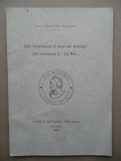 Sulla Interpretazione Di Casi Teratologici Infiorescenze Zea Mais Botanica 1929