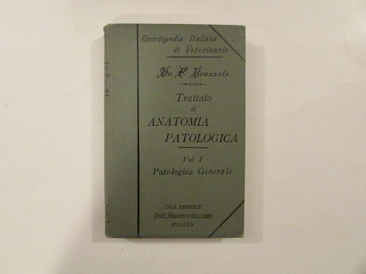 Trattato di Anatomia Patologica Vol. I Patologica Generale Vallardi Primo …