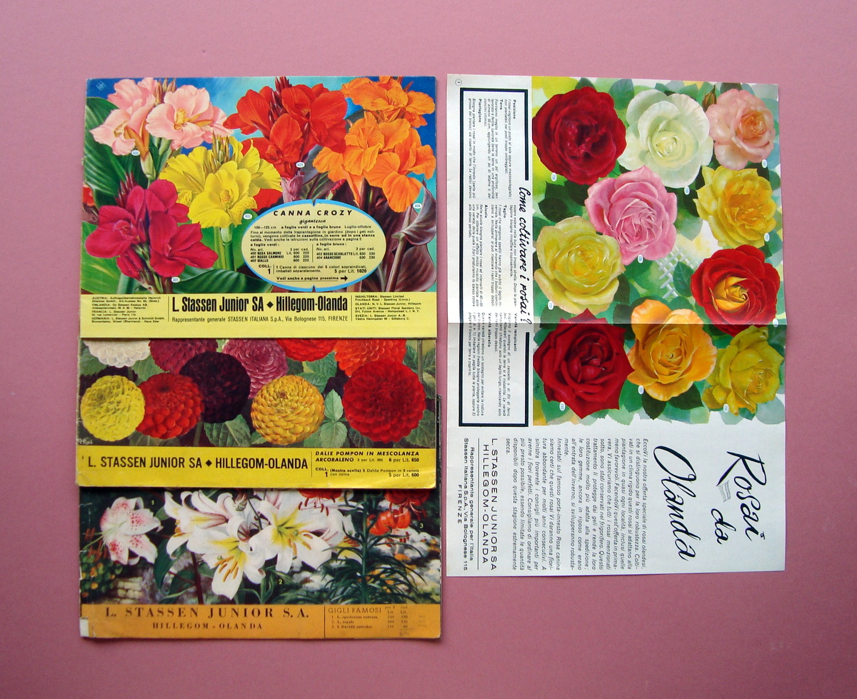 Tre Cataloghi Stassen Jumior Fiori Olanda 1952-58 Dalie Gigli Rosai