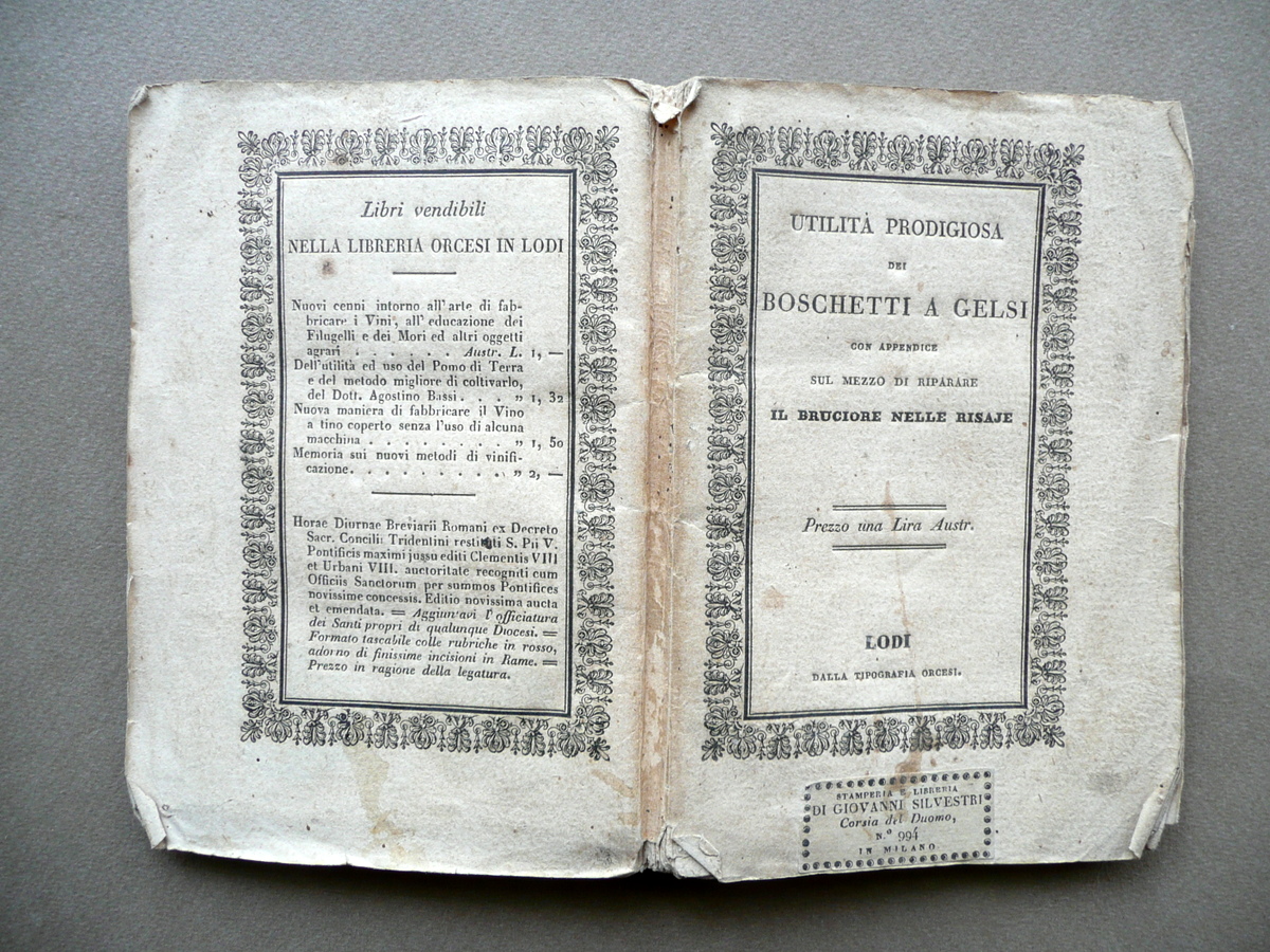 Utilit‡ Prodigiosa dei Boschetti a Gelsi Paolo Beltrami Rivolta Orcesi …