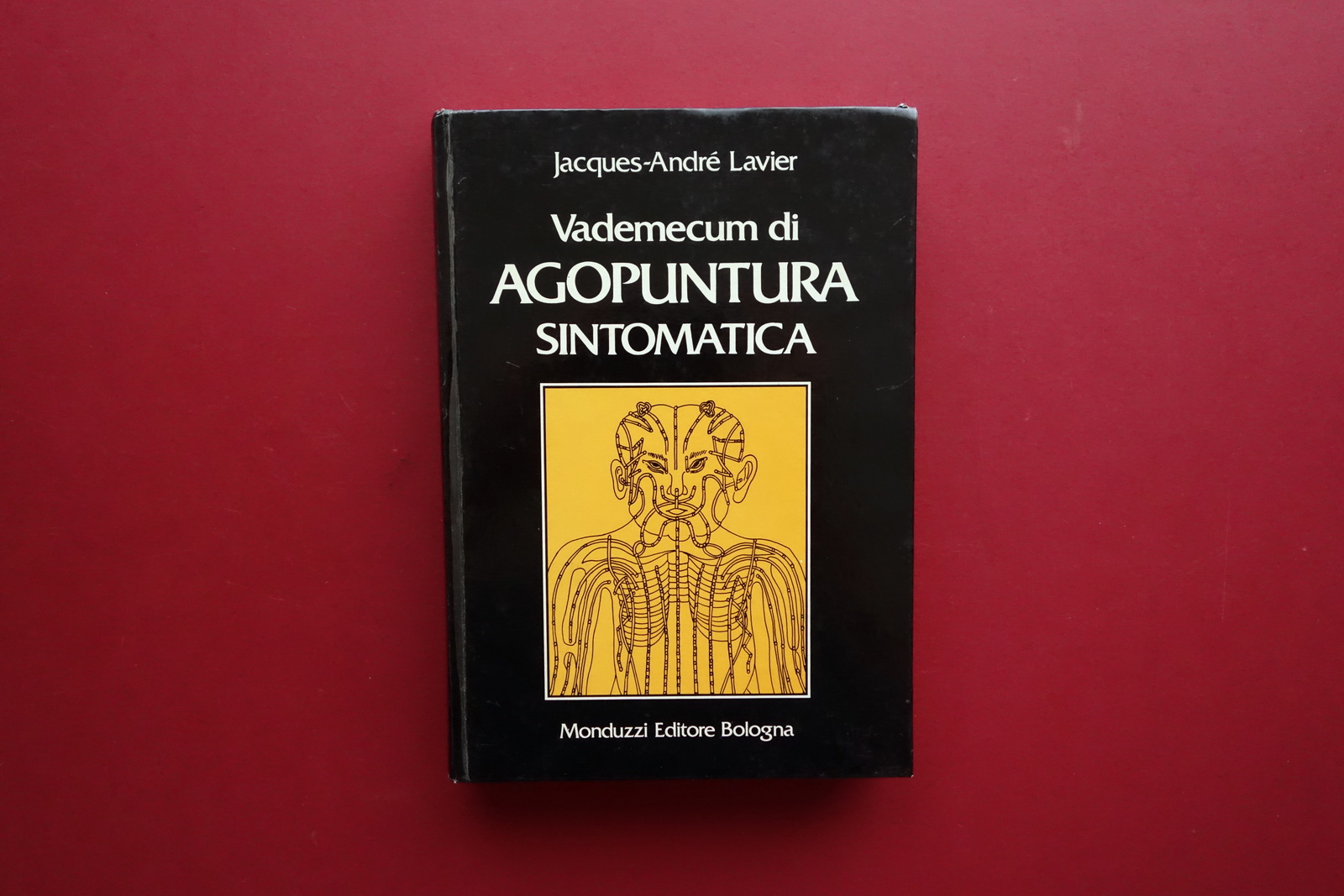 Vademecum di Agopuntura Sintomatica J.-A. Lavier Monduzzi Bologna 1979