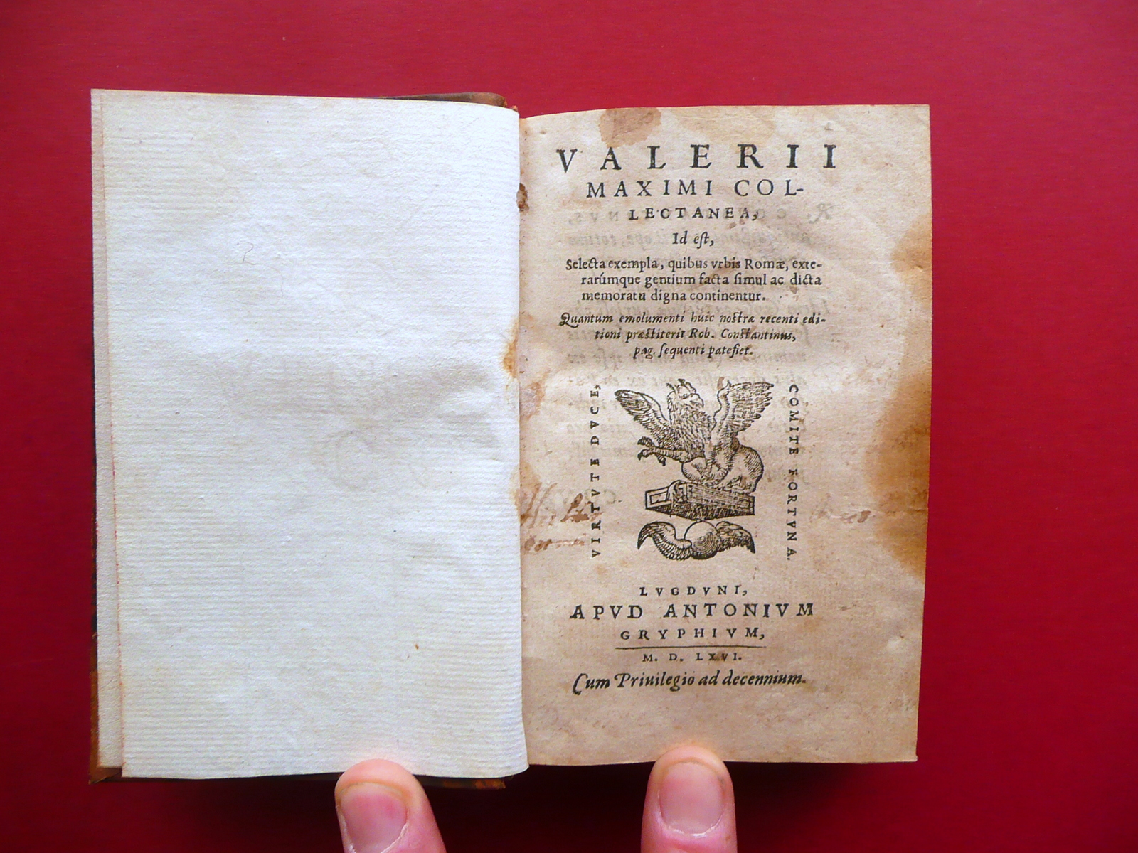 Valerii Maximi Collectanea Antonium Gryphium Lugduni 1566 Griffo Cinquecentina