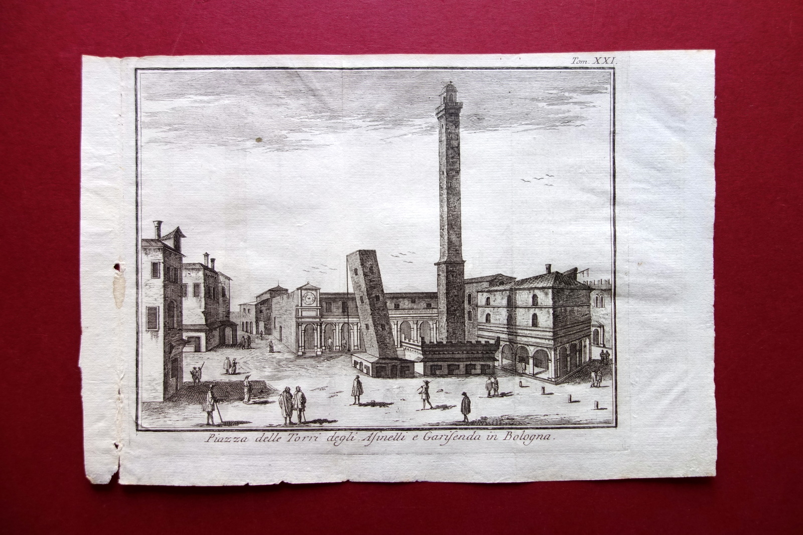 Veduta Piazza delle Torri degli Asinelli e Garisenda Bologna Salmon …