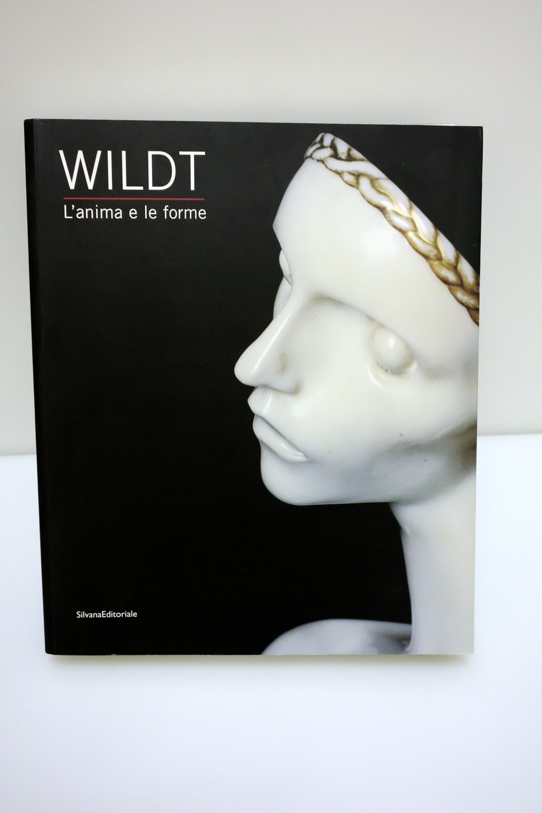 WILDT L'ANIMA E LE FORME FORLI' MAZZOCCA MOLA SILVANA EDITORIALE …
