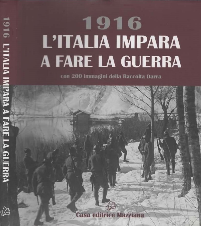 1916. L'Italia impara a fare la guerra