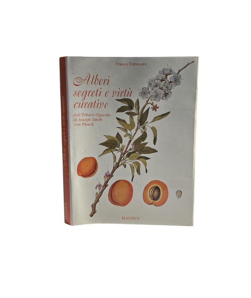 Alberi: segreti e virtù curative. Ediz. illustrata