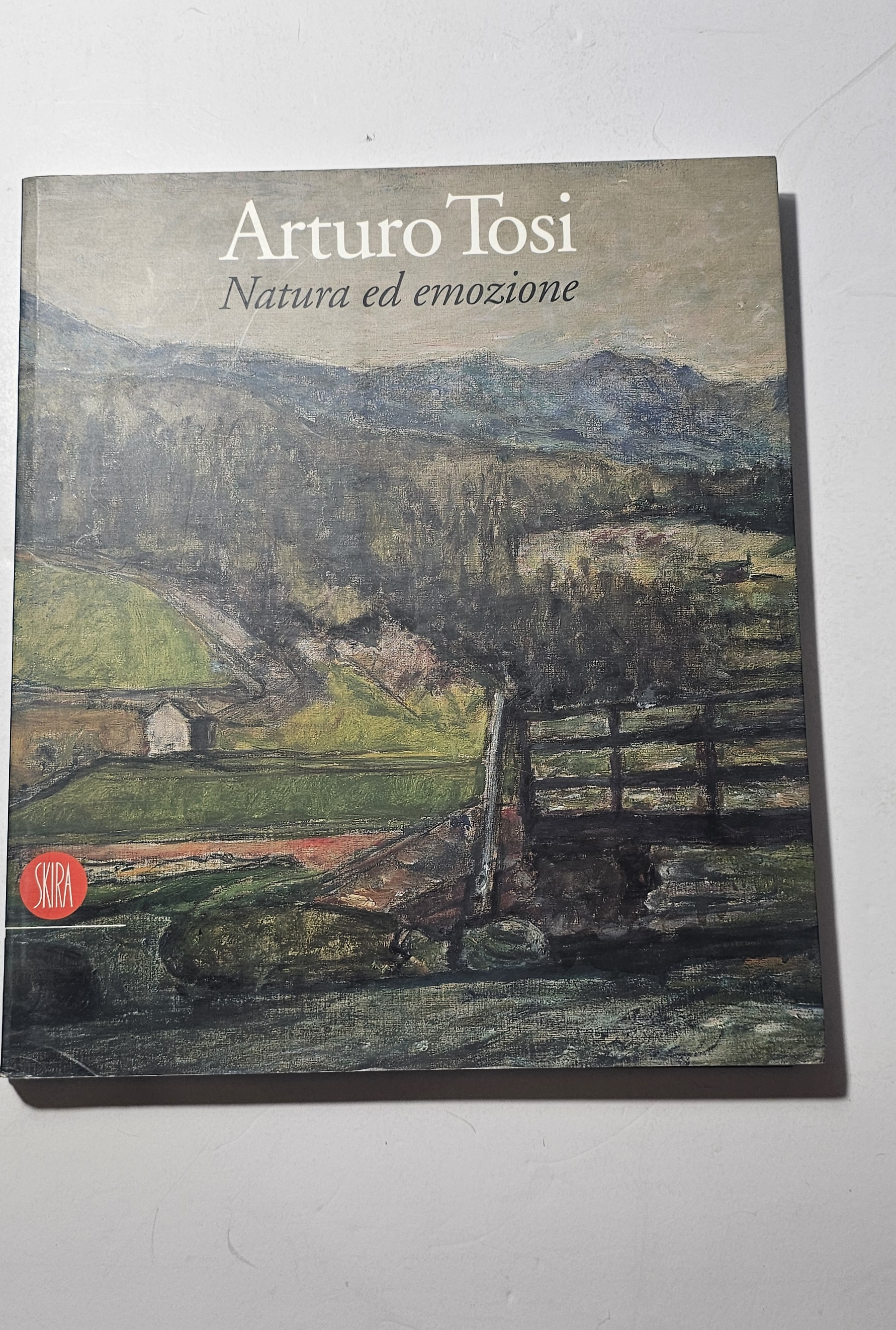 Arturo Tosi Natura ed Emozione Catalogo Arte Skira Pittura Italiana