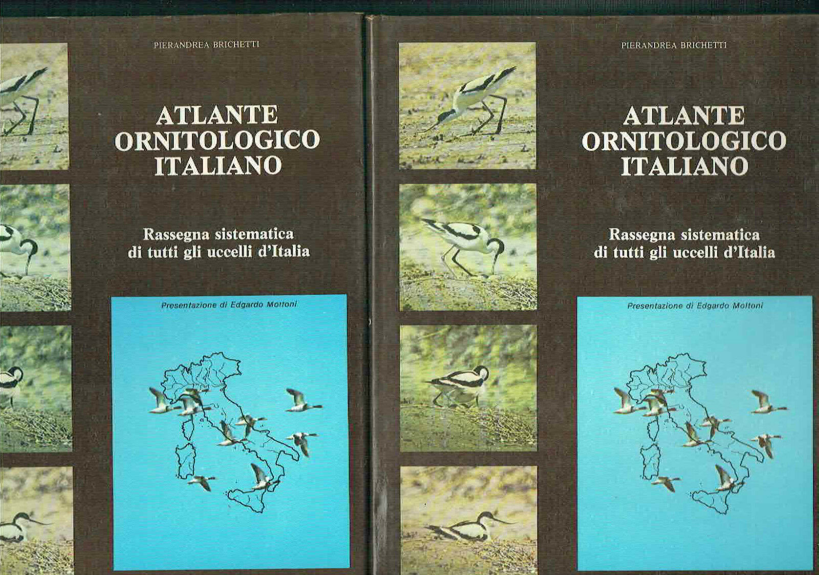 ATLANTE ORNITOLOGICO TALIANO 2 VOL.** RASSEGNA SISTEMATICA DI TUTTI GLI …