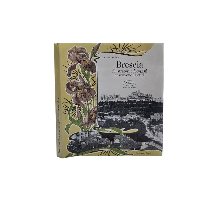 Brescia illustratori e fotografi raccontano la città. Ediz. illustrata