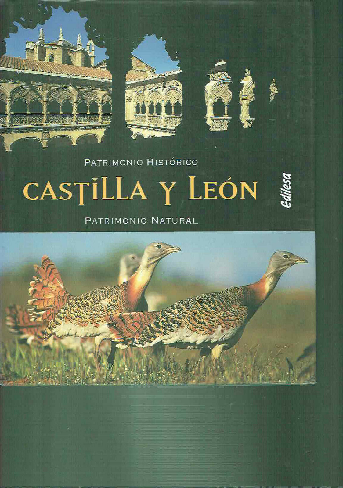 CASTILLA Y LEON PATRIMONIO HISTORICO PATRIMONIO NATURAL