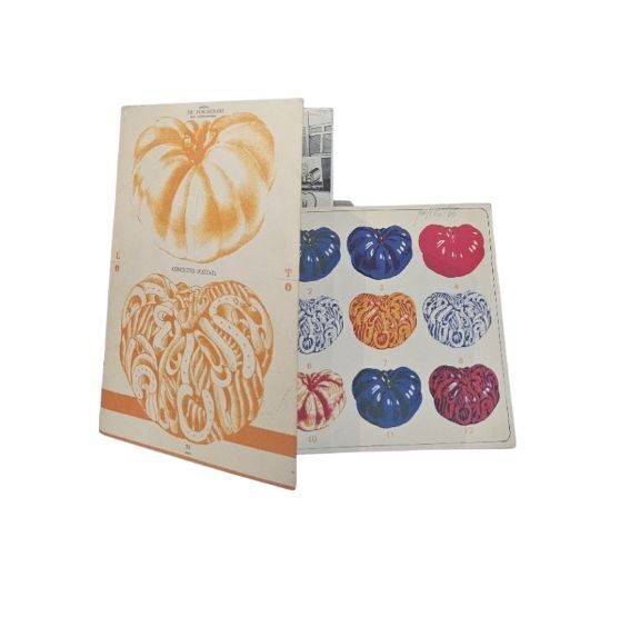 Catalogo galleria De Foscherari - Concetto Pozzati + litografia