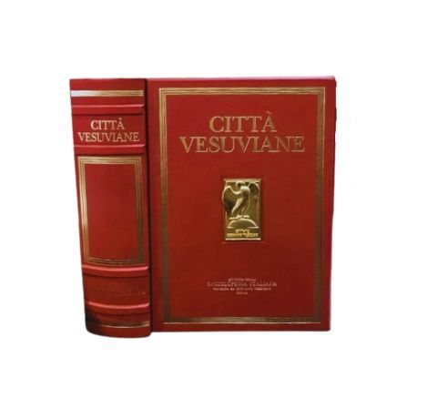 Città vesuviane - antichità e fortuna - il suburbio e …