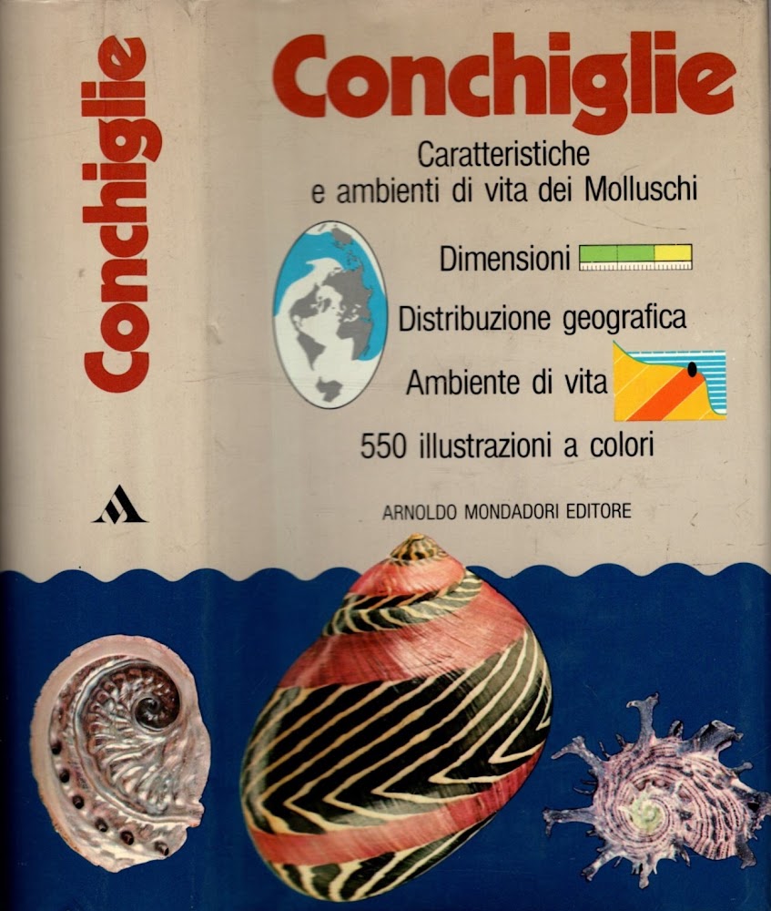 Conchiglie. Caratteristiche e ambienti di vita dei Molluschi