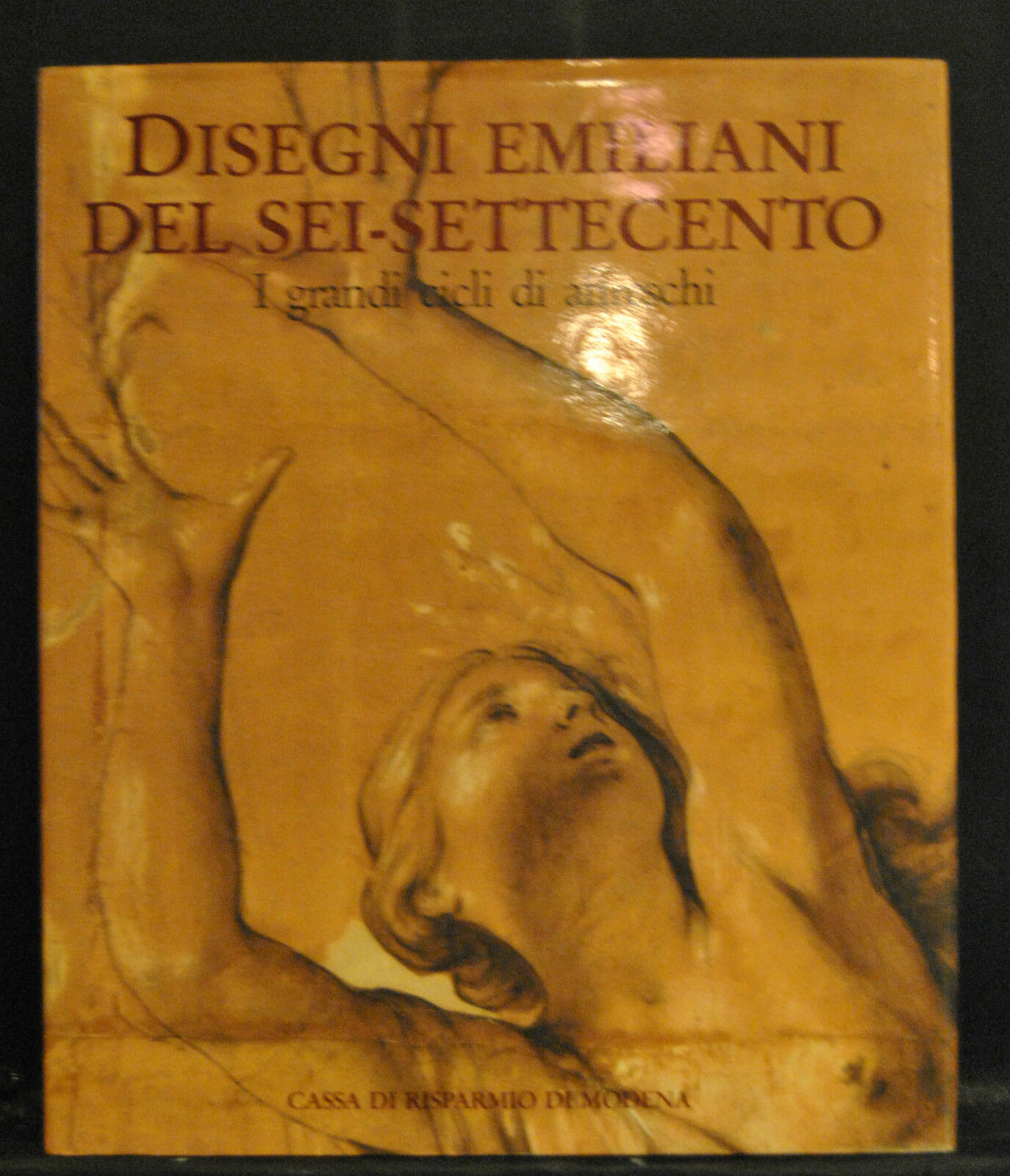 Disegni emiliani del Sei-Settecento : i grandi cicli di affreschi