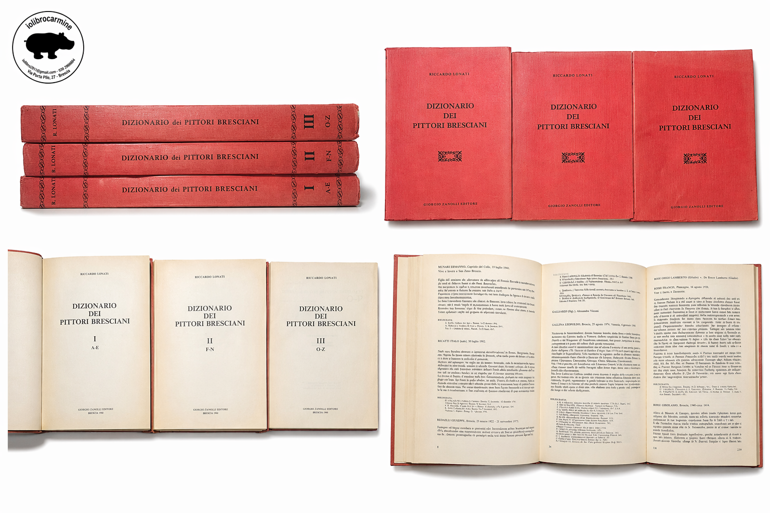 Dizionario dei Pittori Bresciani – Riccardo Lonati – 3 volumi