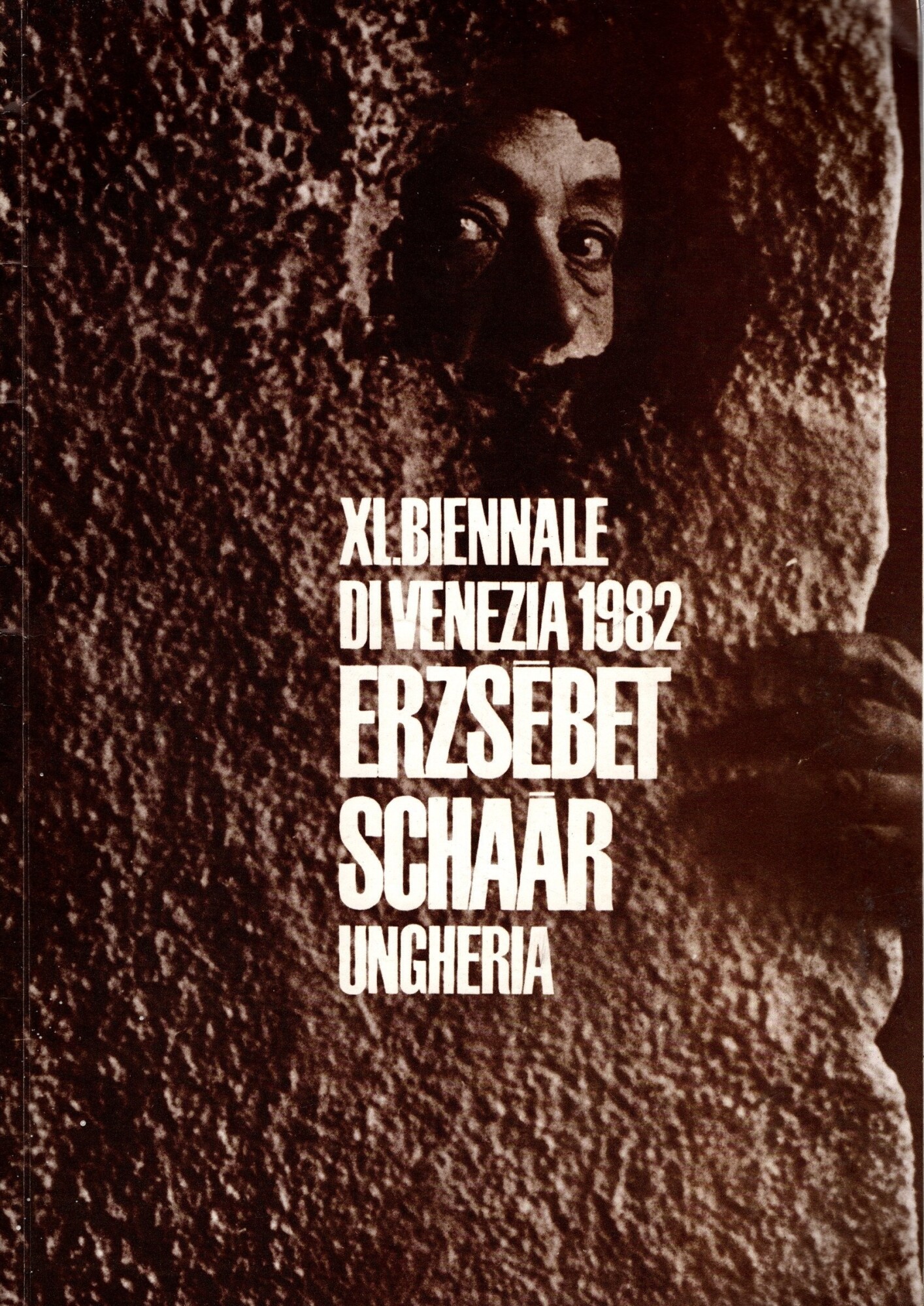 Erzsebet Schaar. Ungheria. XI Biennale di Venezia 1982 *