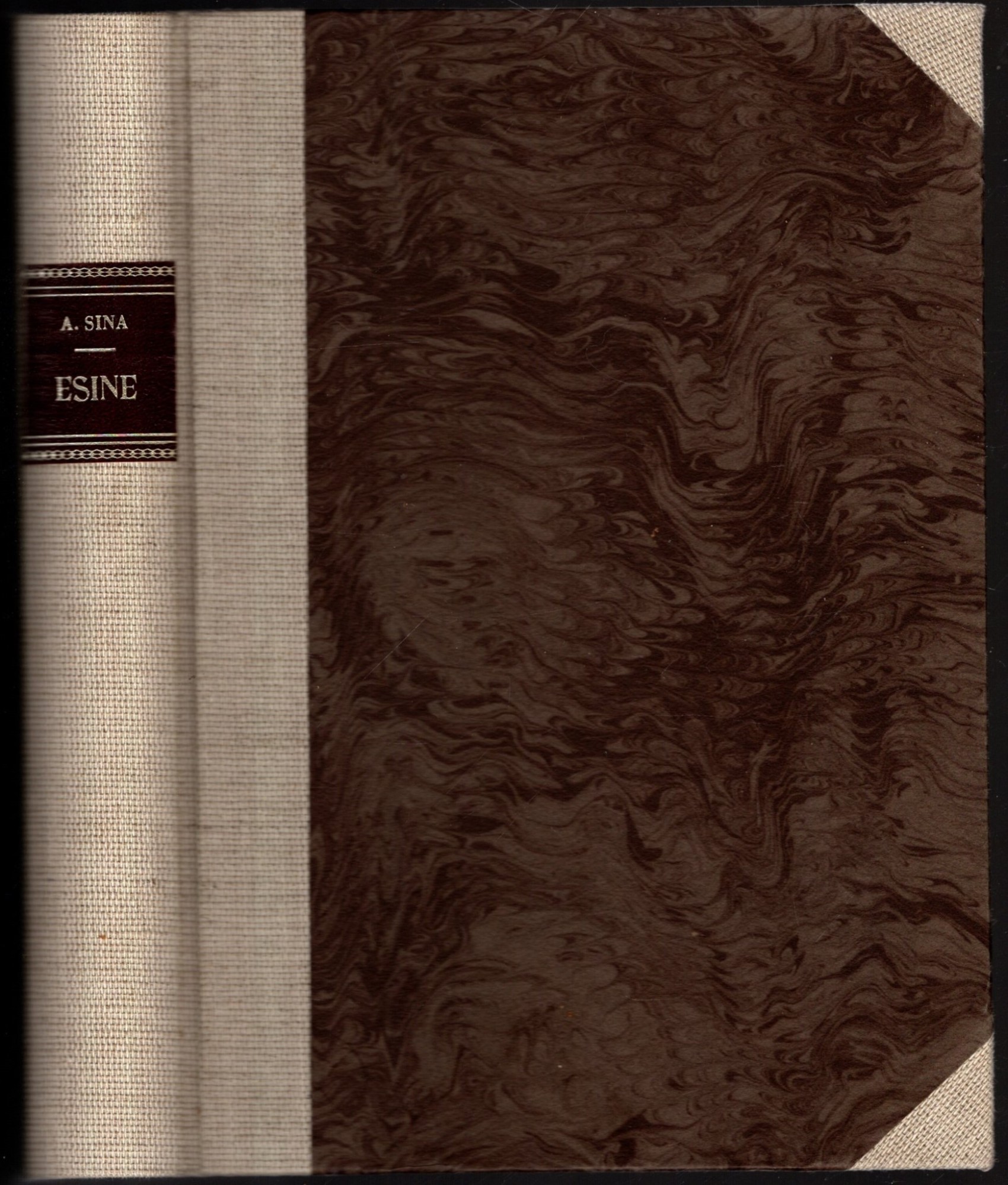 Esine. Storia di una terra Camuna di Don Alessandro Sina