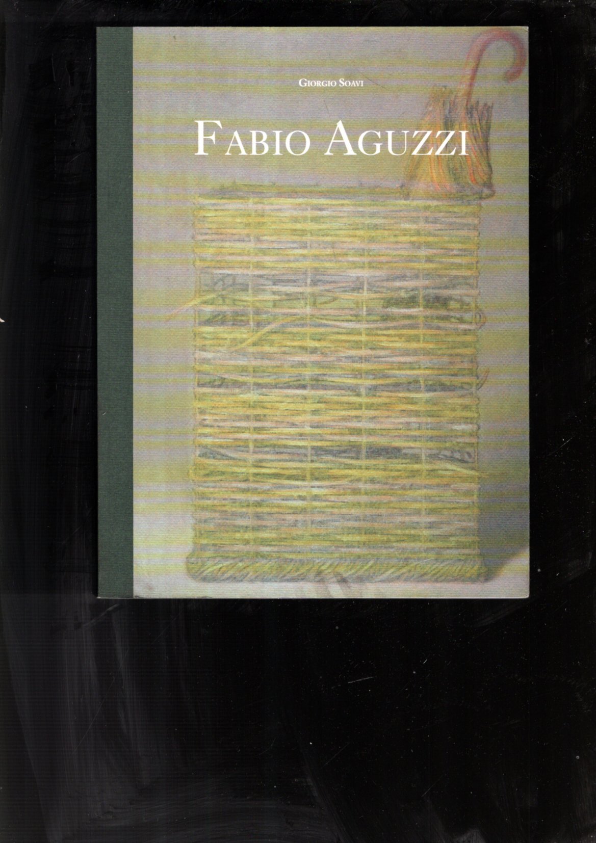 Fabio Aguzzi