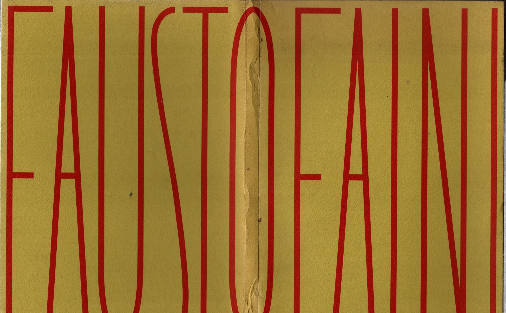 Fausto Faini - Marco Meneguzzo