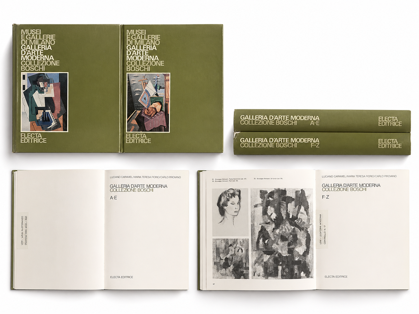 Galleria Arte Moderna Milano Collezione Boschi Electa 2 Volumi