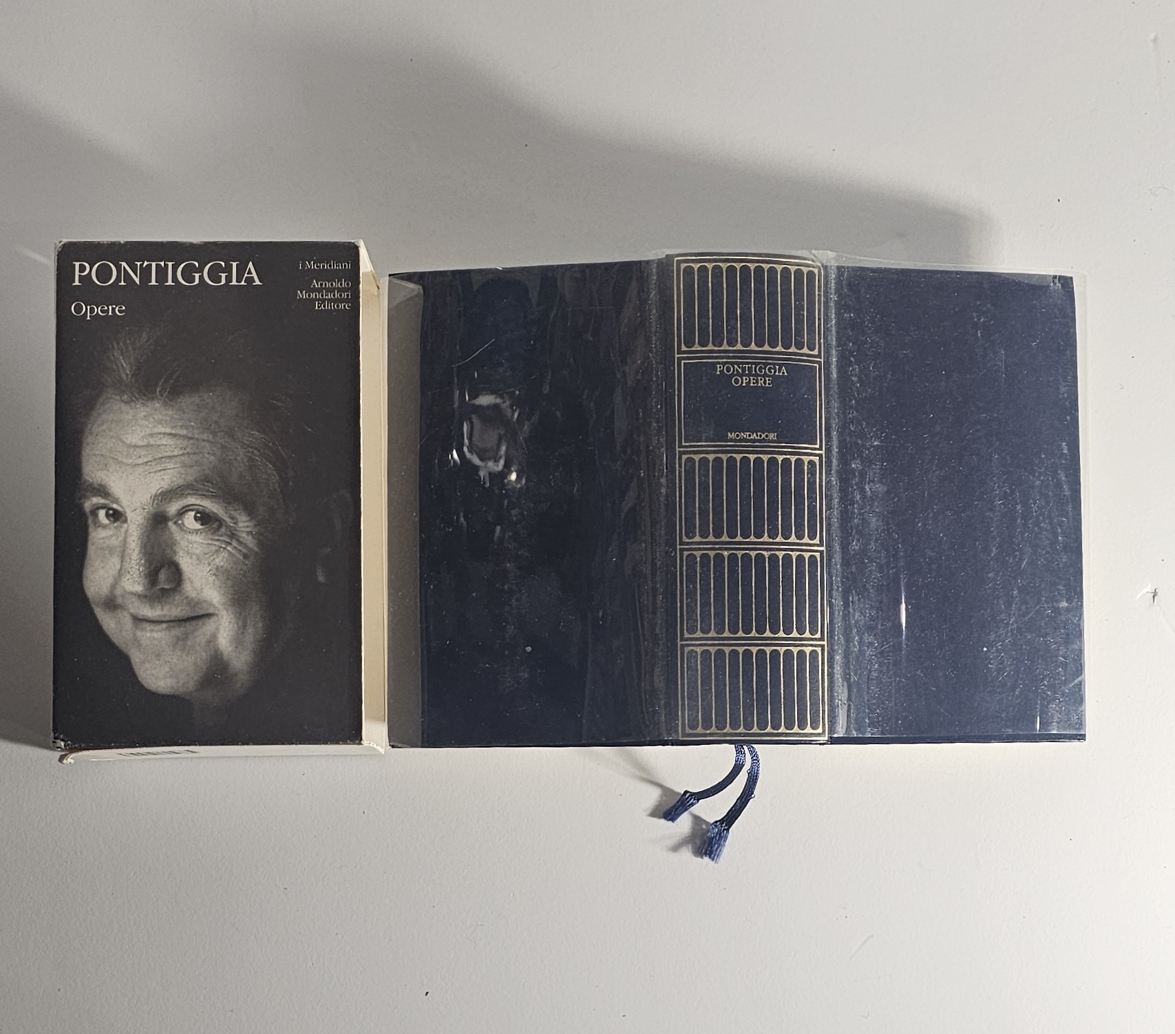 Giuseppe Pontiggia Opere I Meridiani Mondadori Classici