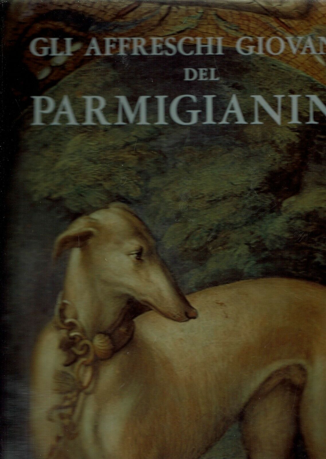 GLI AFFRESCHI GIOVANILI DEL PARMIGIANINO