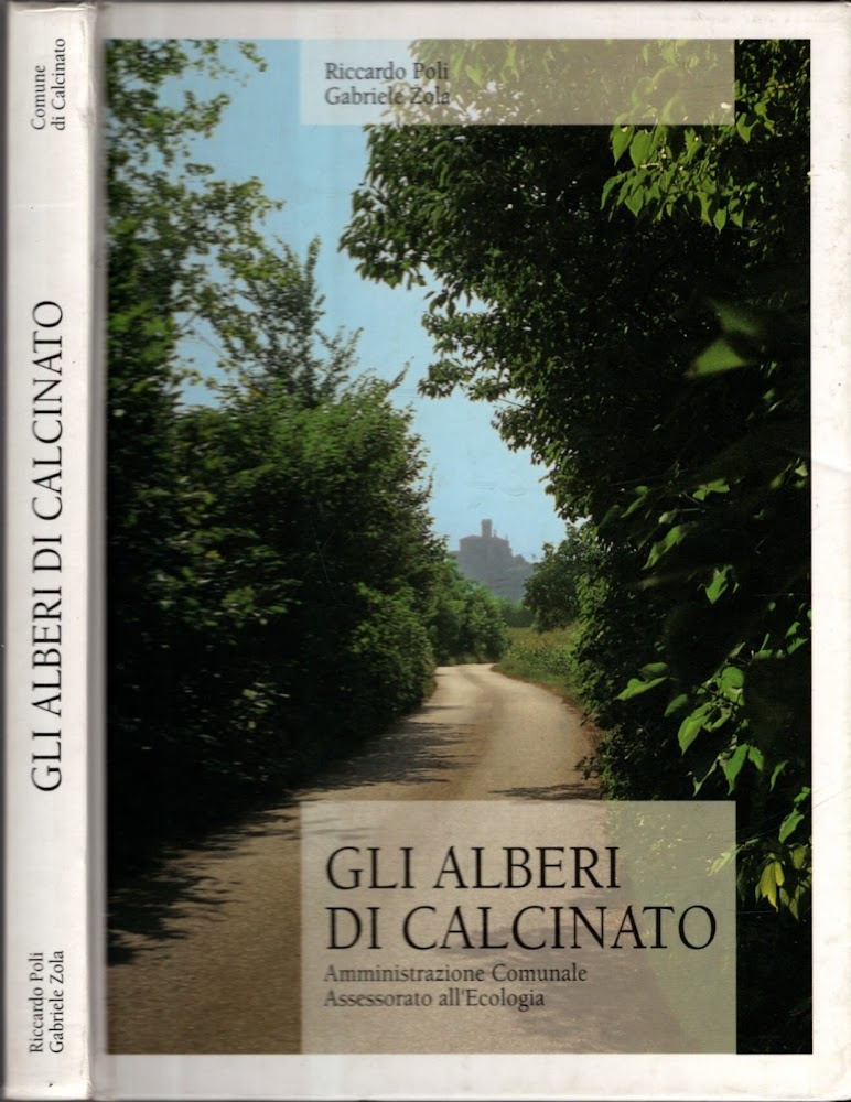 GLI ALBERI DI CALCINATO