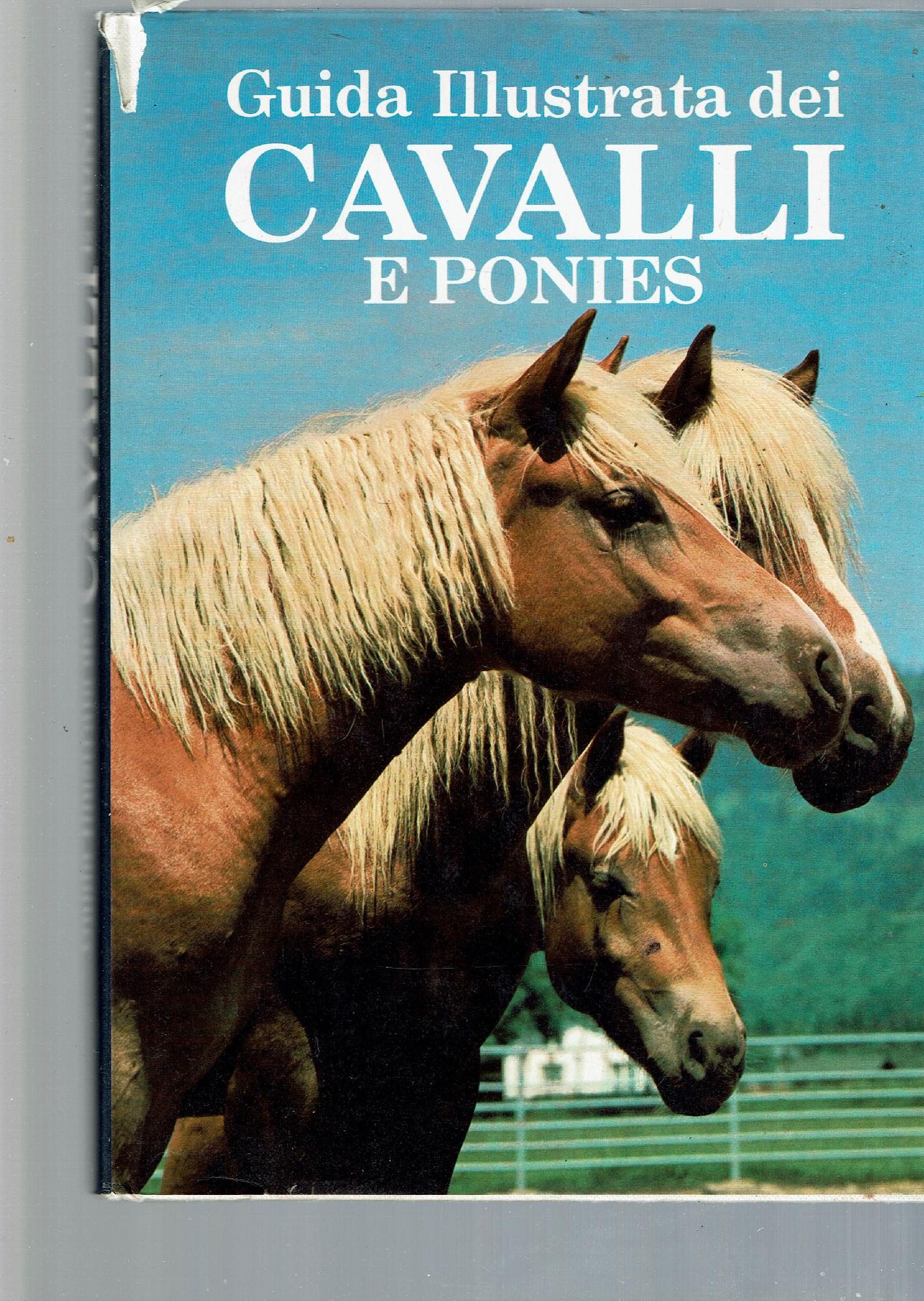 Guida illustrata dei cavalli e ponies