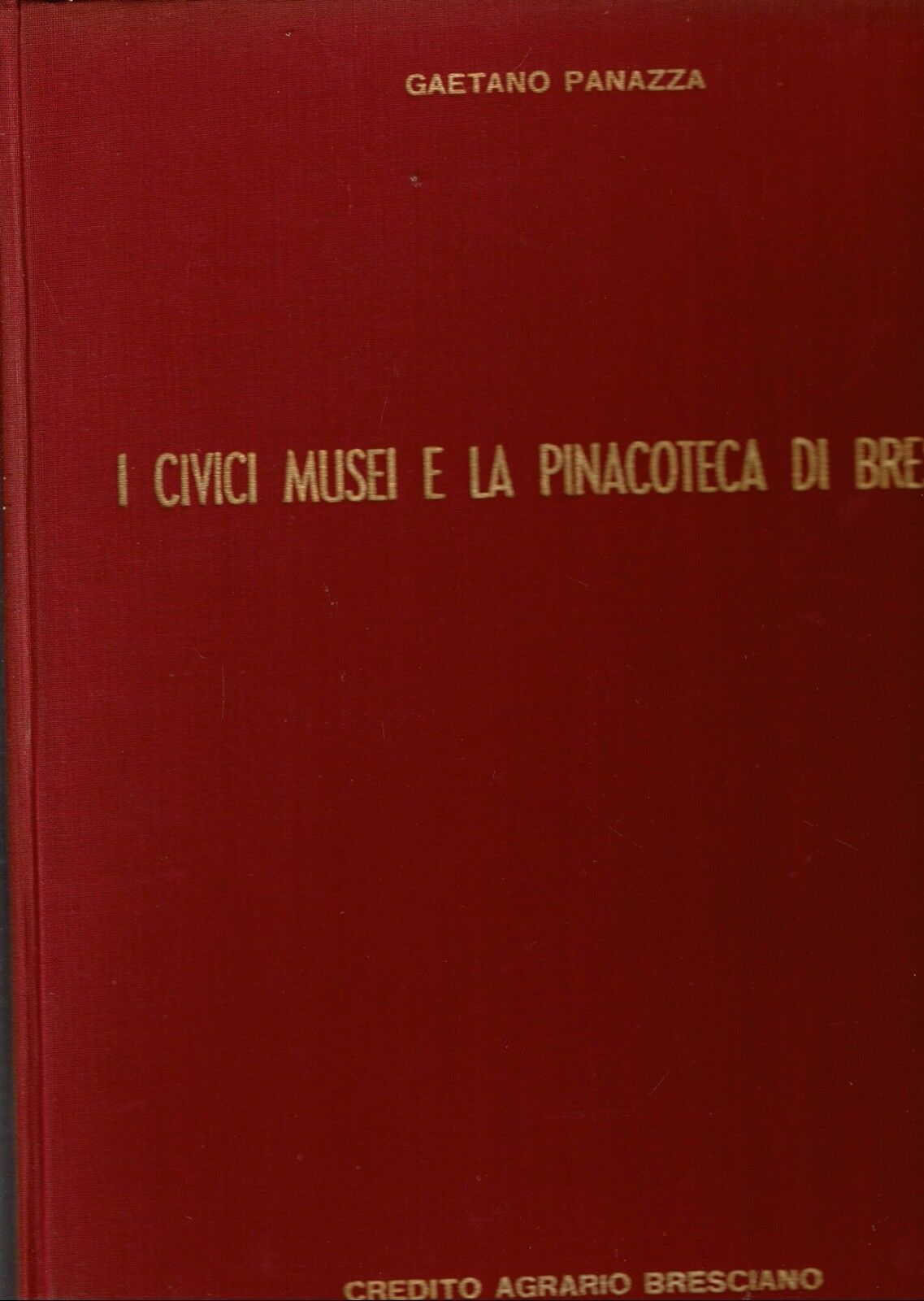I CIVICI MUSEI E LA PINACOTECA DI BRESCIA