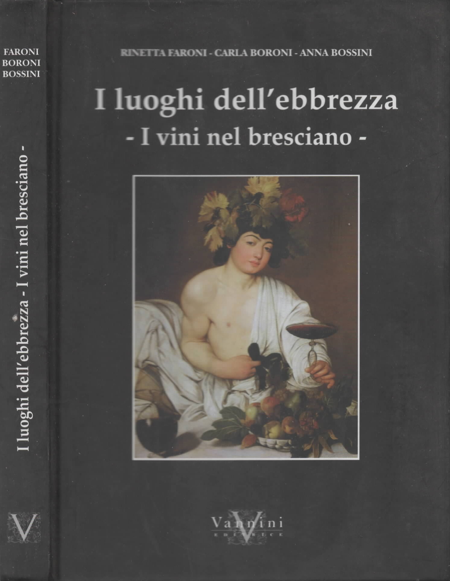 I luoghi dell'ebbrezza. I vini nel bresciano