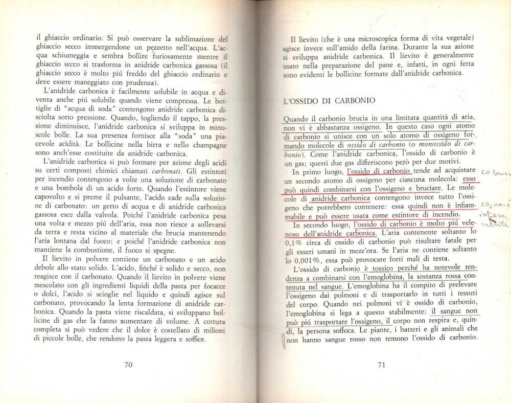 I mattoni dell'universo