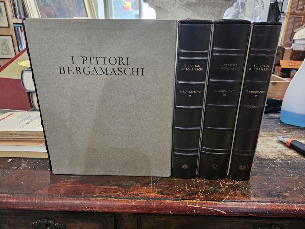 I PITTORI BERGAMASCHI - IL CINQUECENTO 4 VOLUMI
