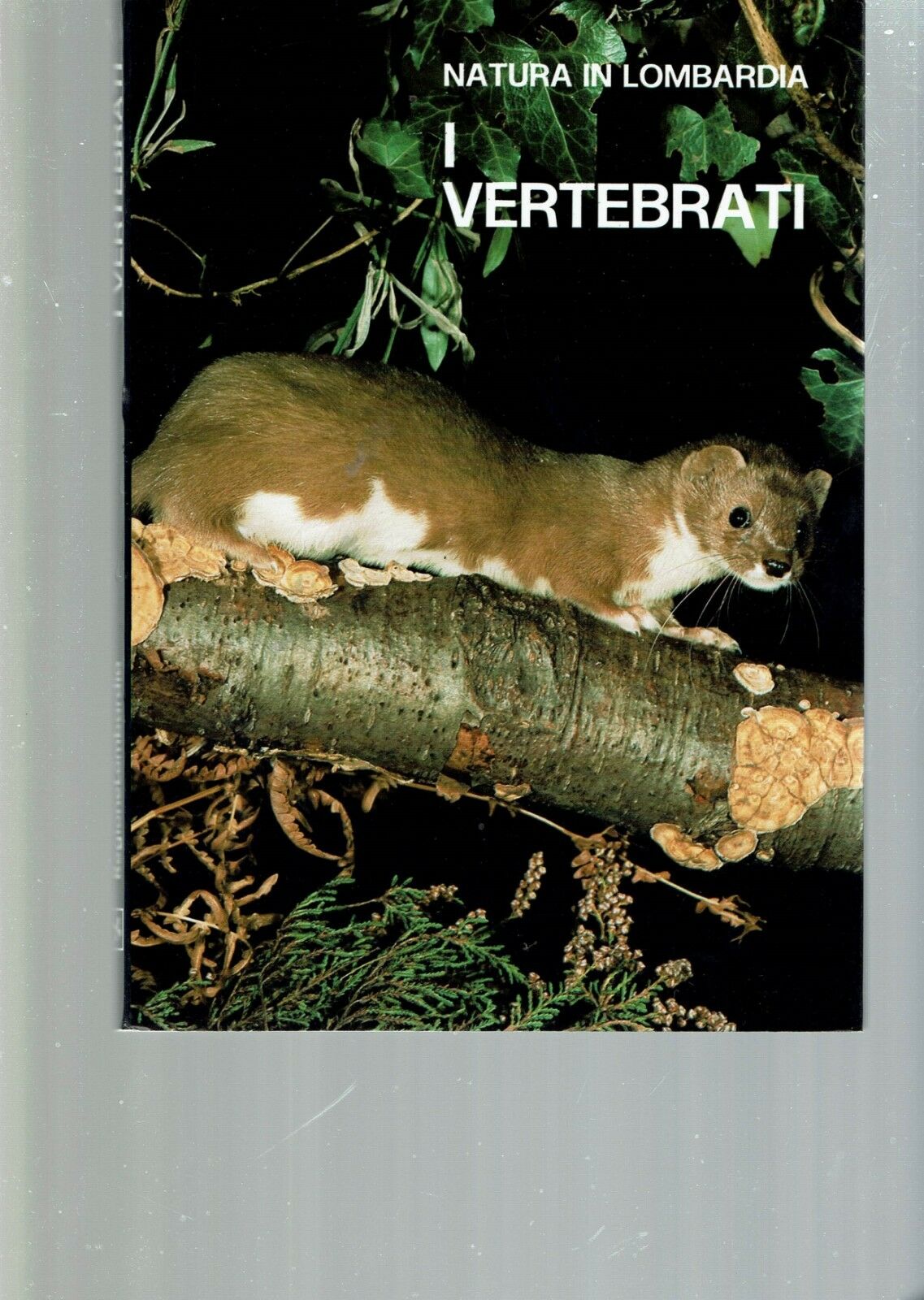 I VERTEBRATI ** NATURA IN LOMBARDIA