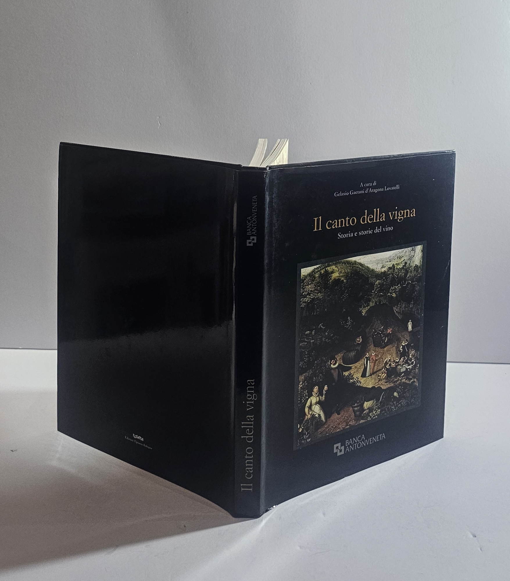 Il canto della vigna. Storia e storie del vino