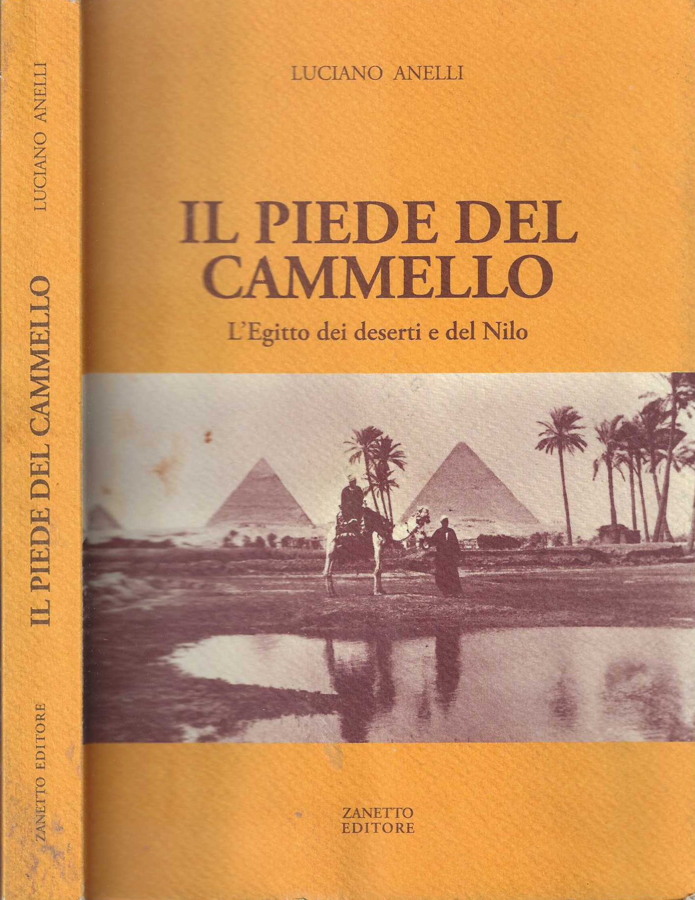 Il Piede Del Cammello L'egitto Dei Deserti E Del Nilo …