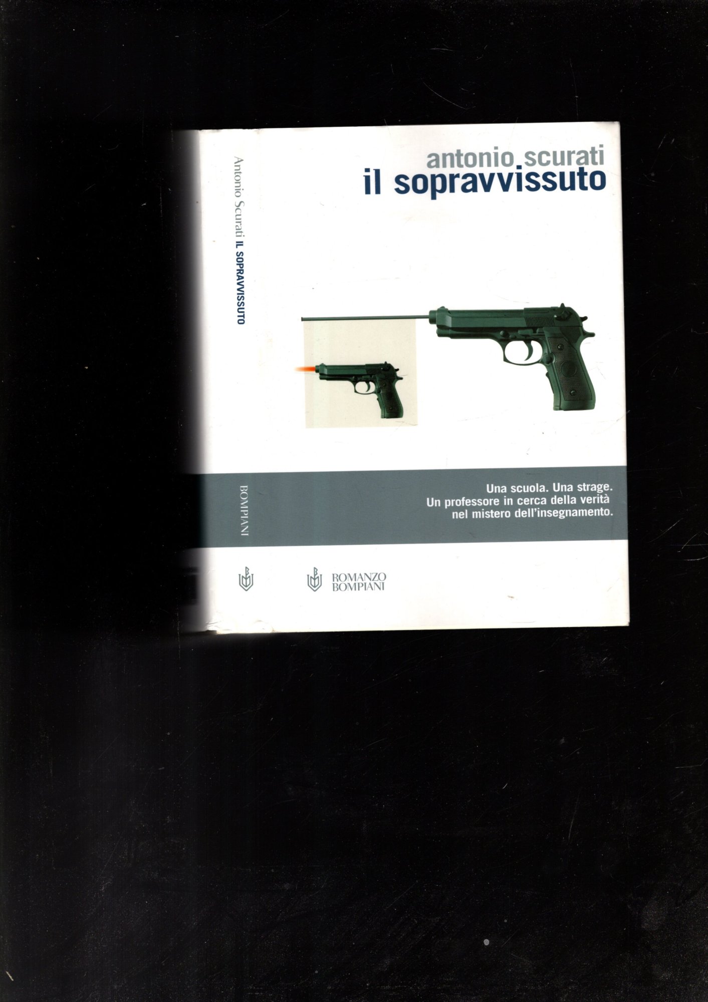 IL SOPRAVVISSUTO