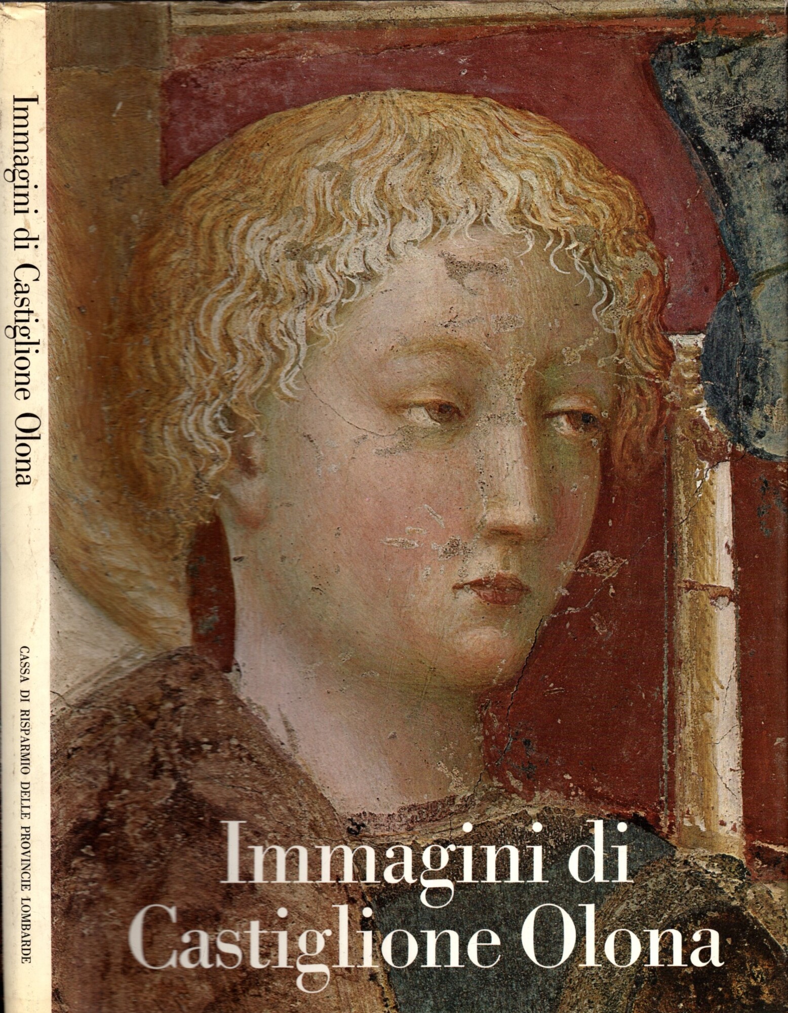 Immagini di Castiglione Olona**