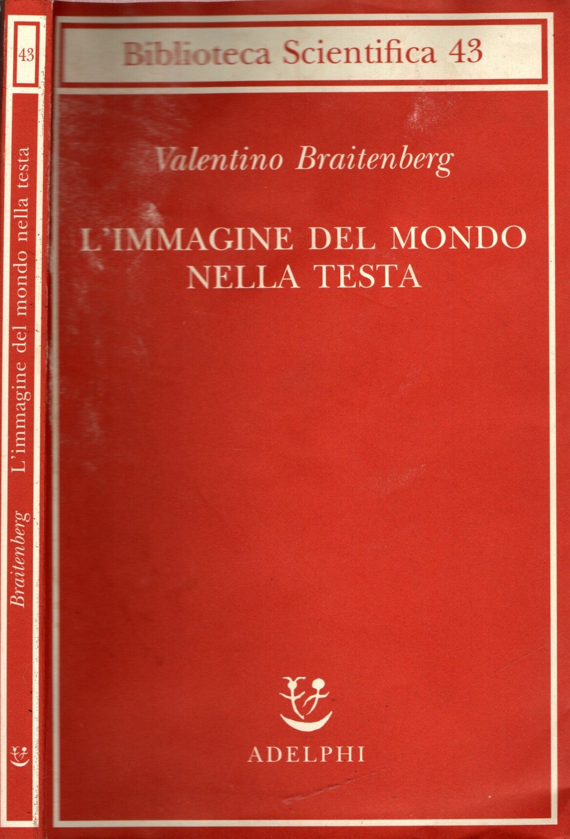 L'immagine del mondo nella testa